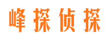 武都市婚外情调查